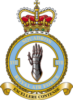 Squadron Name